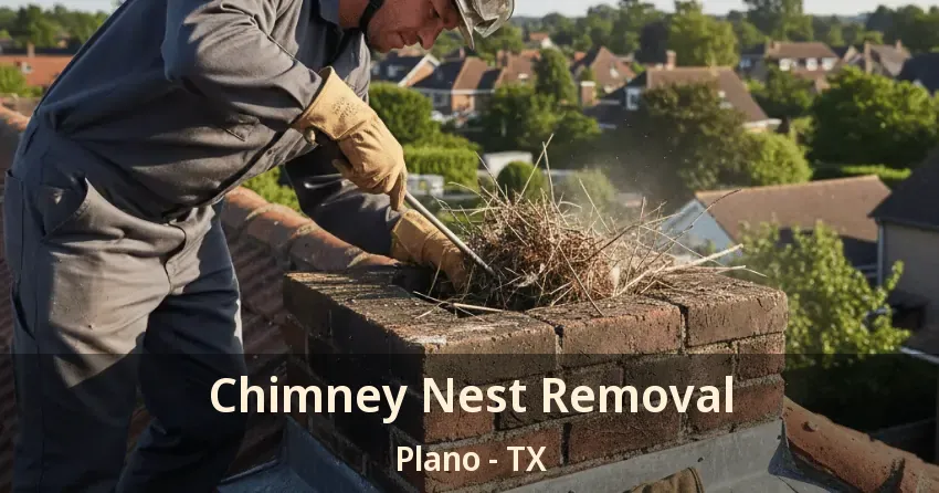Chimney Nest Removal Plano - TX