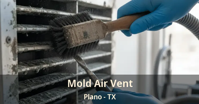 Mold Air Vent Plano - TX
