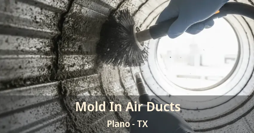 Mold In Air Ducts Plano - TX