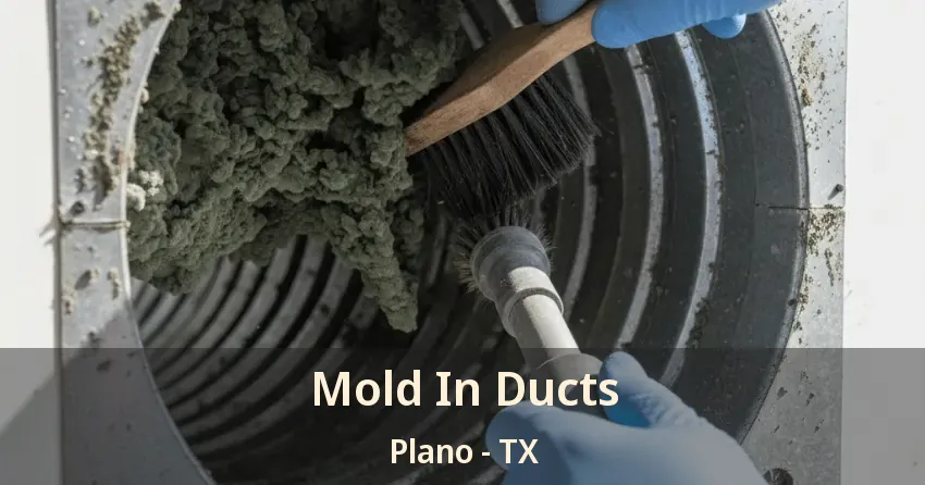 Mold In Ducts Plano - TX