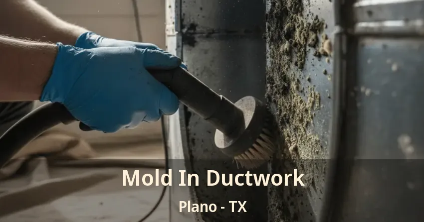 Mold In Ductwork Plano - TX Mold In Ductwork Plano - TX