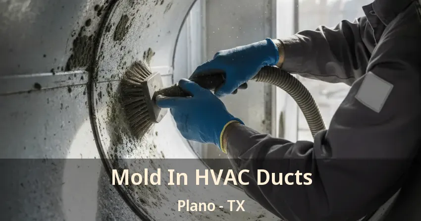 Mold In HVAC Ducts Plano - TX
