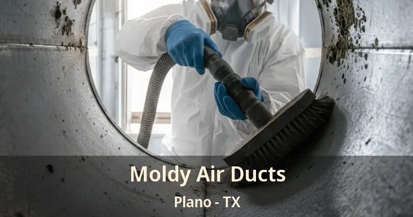 Moldy Air Ducts Plano - TX